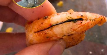 106d9a03 8782 4bfd 80bd 875dda7ed38d