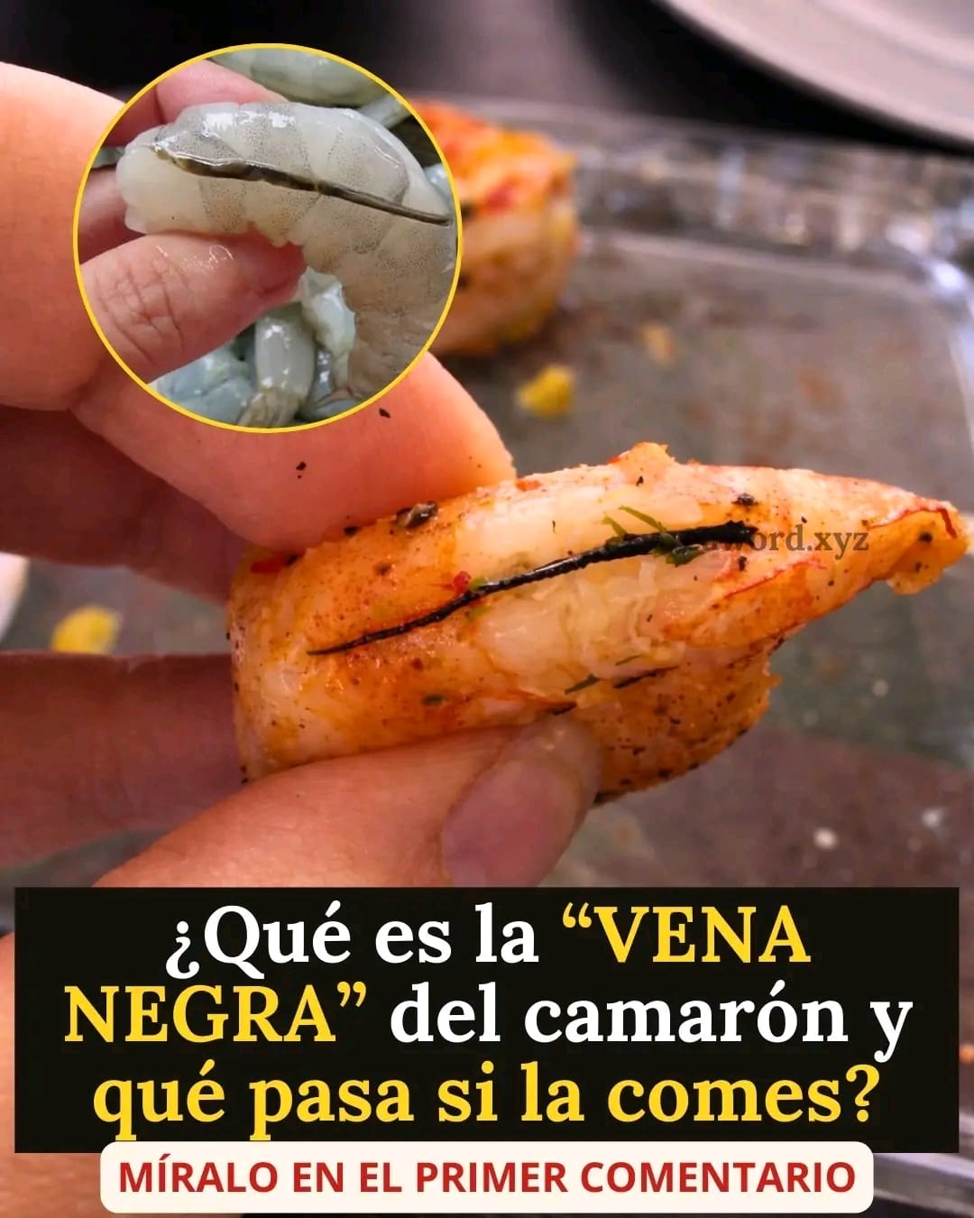 106d9a03 8782 4bfd 80bd 875dda7ed38d