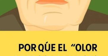 573875996 4150066911915613 6516726570450664786 n