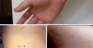 588887277 1415542456800933 3721505555054786848 n