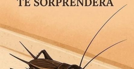 608579520 1433600628127198 1869694279476855727 n