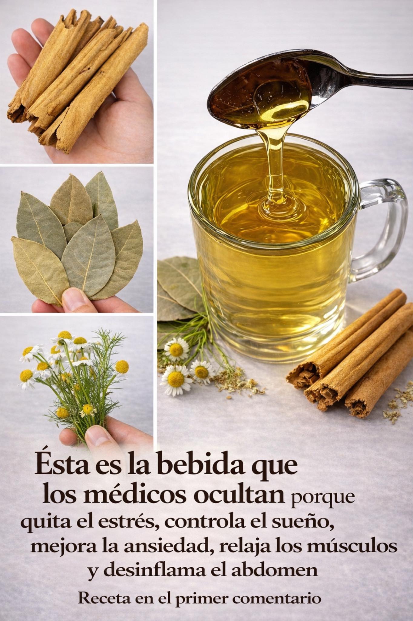 635181622 1475887077431330 7683262548151575974 n