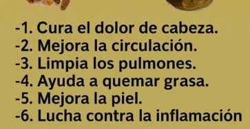 637306605 880712384781797 6963500894755885289 n