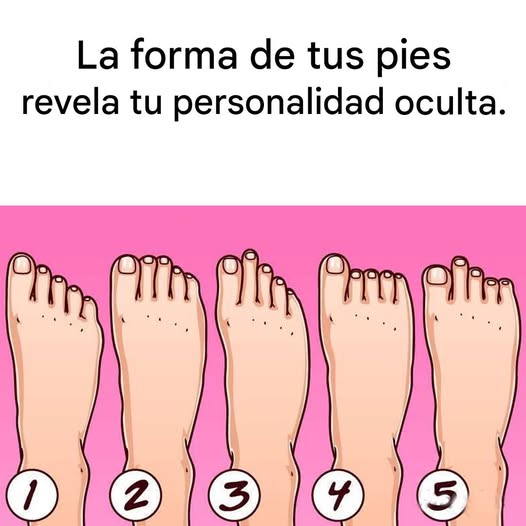 637678253 122205168170531844 415142280156338837 n