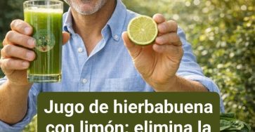 637719093 1468653128389028 3288009599751039948 n