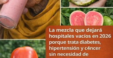 638275078 1478539960499375 5688269884784883026 n