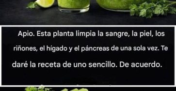 639186046 948991967699511 6271224067529008285 n