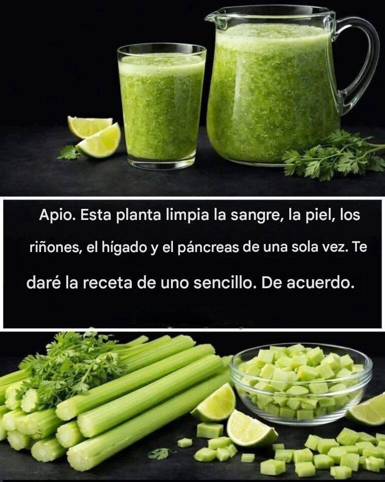 639186046 948991967699511 6271224067529008285 n