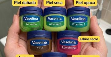 640272420 942428368465759 4837577295862466196 n 768x953