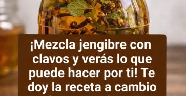 641737788 1483399653346739 2524378767675738543 n