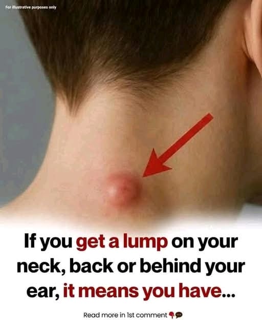 30a80625 c47b 4c86 8876 e906d6e9532d