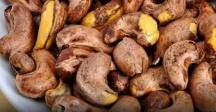 5928138a b286 4dc1 9de3 661fa7733606