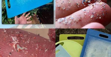 623388922 122111077341193877 7501085237138321370 n