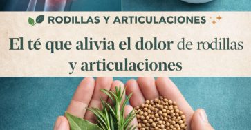 641540485 122153852204973955 1784096081940044330 n