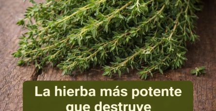 642358664 1488272986192739 6032676145251506219 n