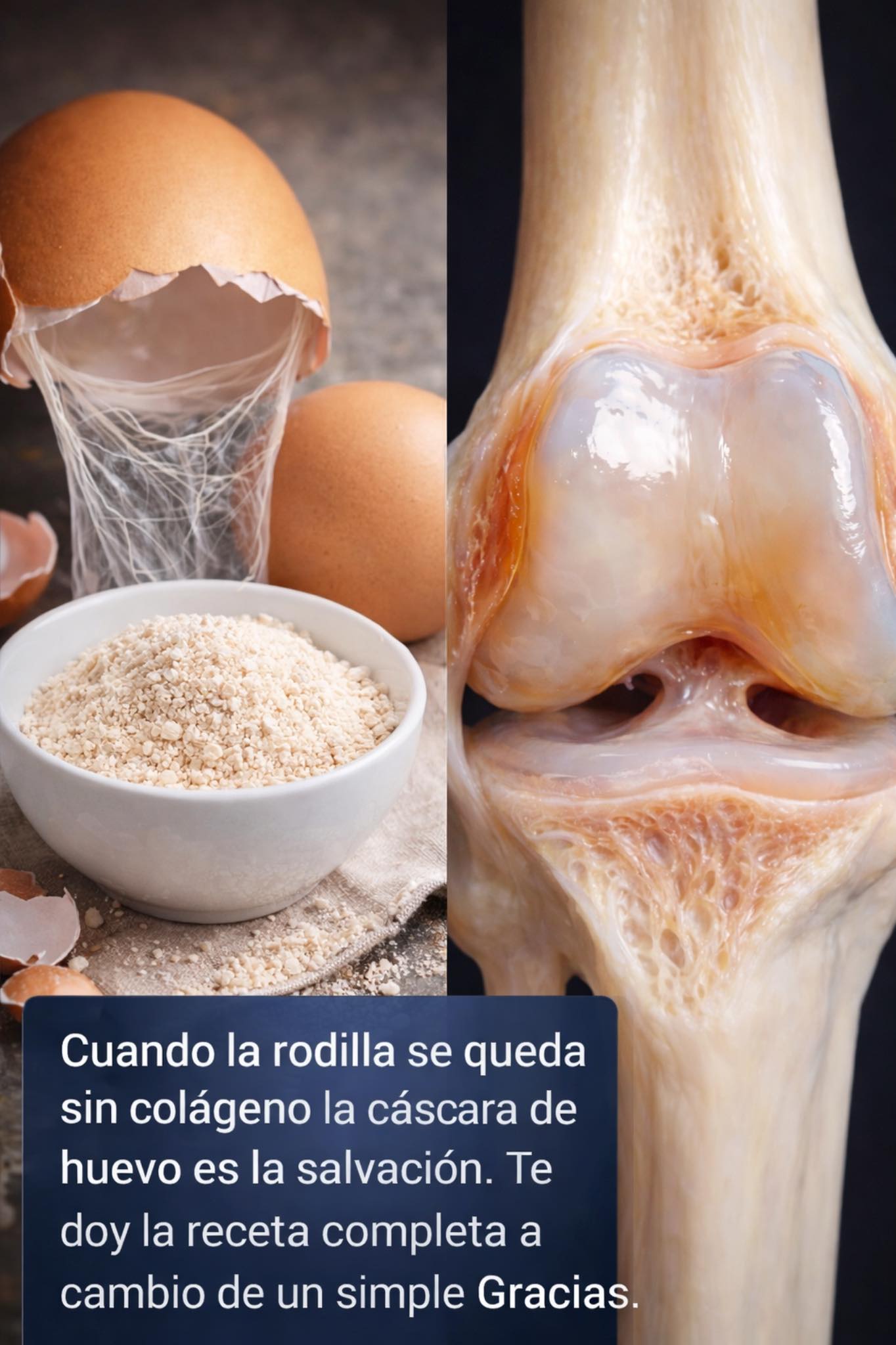 643741948 1486370543049650 7950444194733520250 n