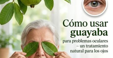 643902663 122154110522973955 1143295588618134555 n