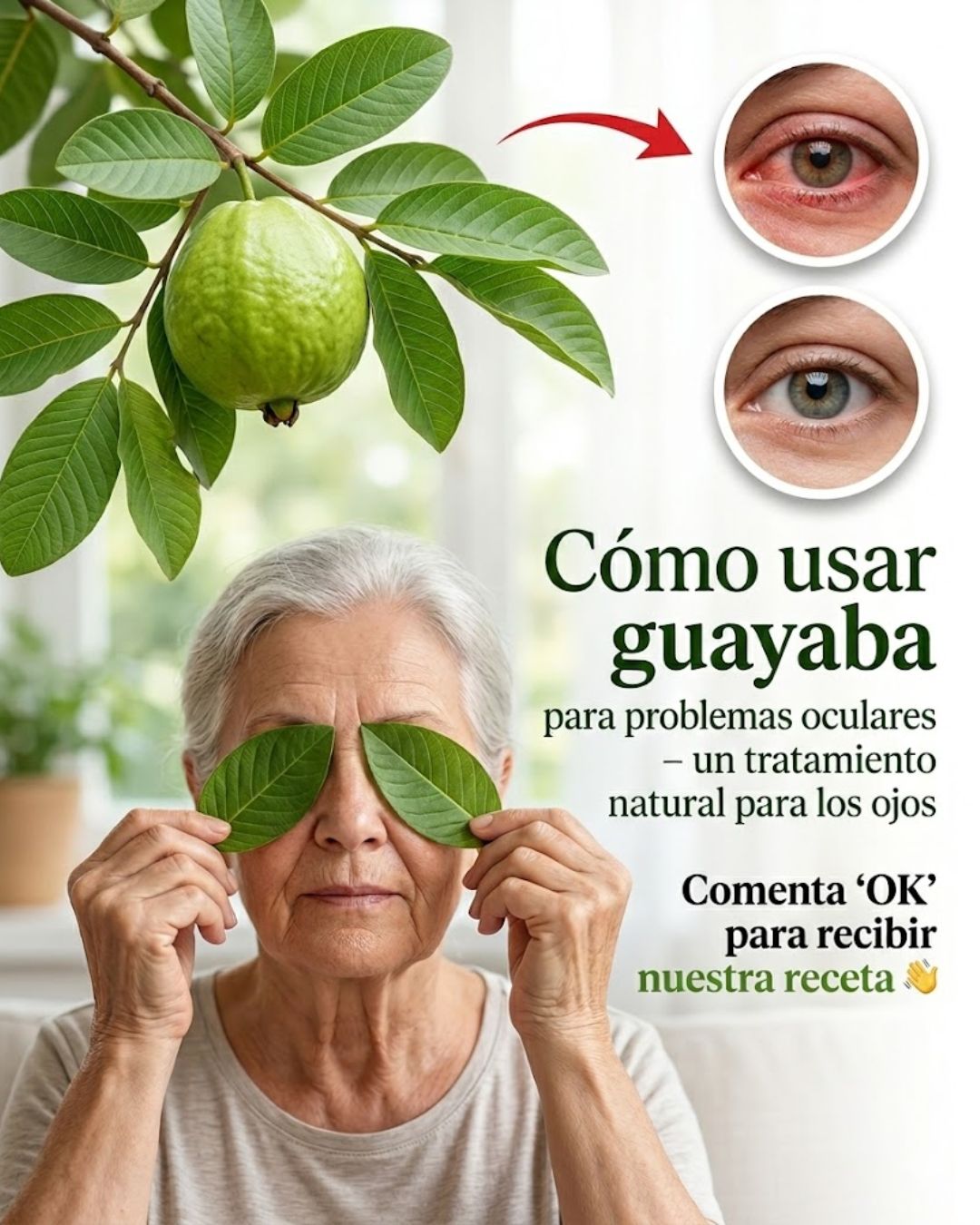 643902663 122154110522973955 1143295588618134555 n