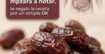 644165862 122154177092973955 8597837464438099554 n