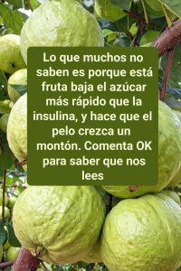 644278502 1487456642941040 5706992183320218156 n