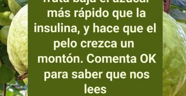 644278502 1487456642941040 5706992183320218156 n