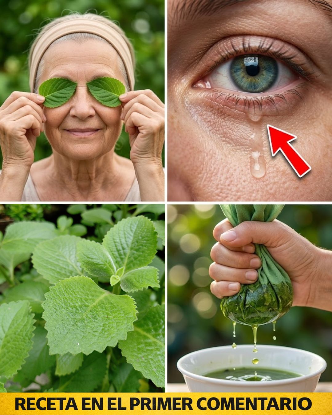 644337579 122154122420973955 8194895663410339400 n