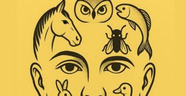 644359176 122199303896528155 6295147546043620954 n