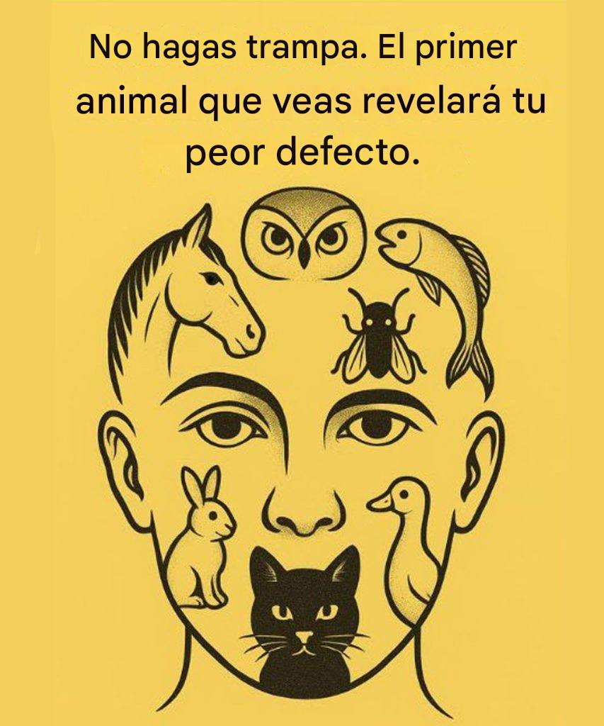 644359176 122199303896528155 6295147546043620954 n