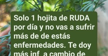 644468574 1486852983001406 4884543268135890275 n