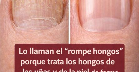 645214679 1489087422777962 6519163170332879971 n