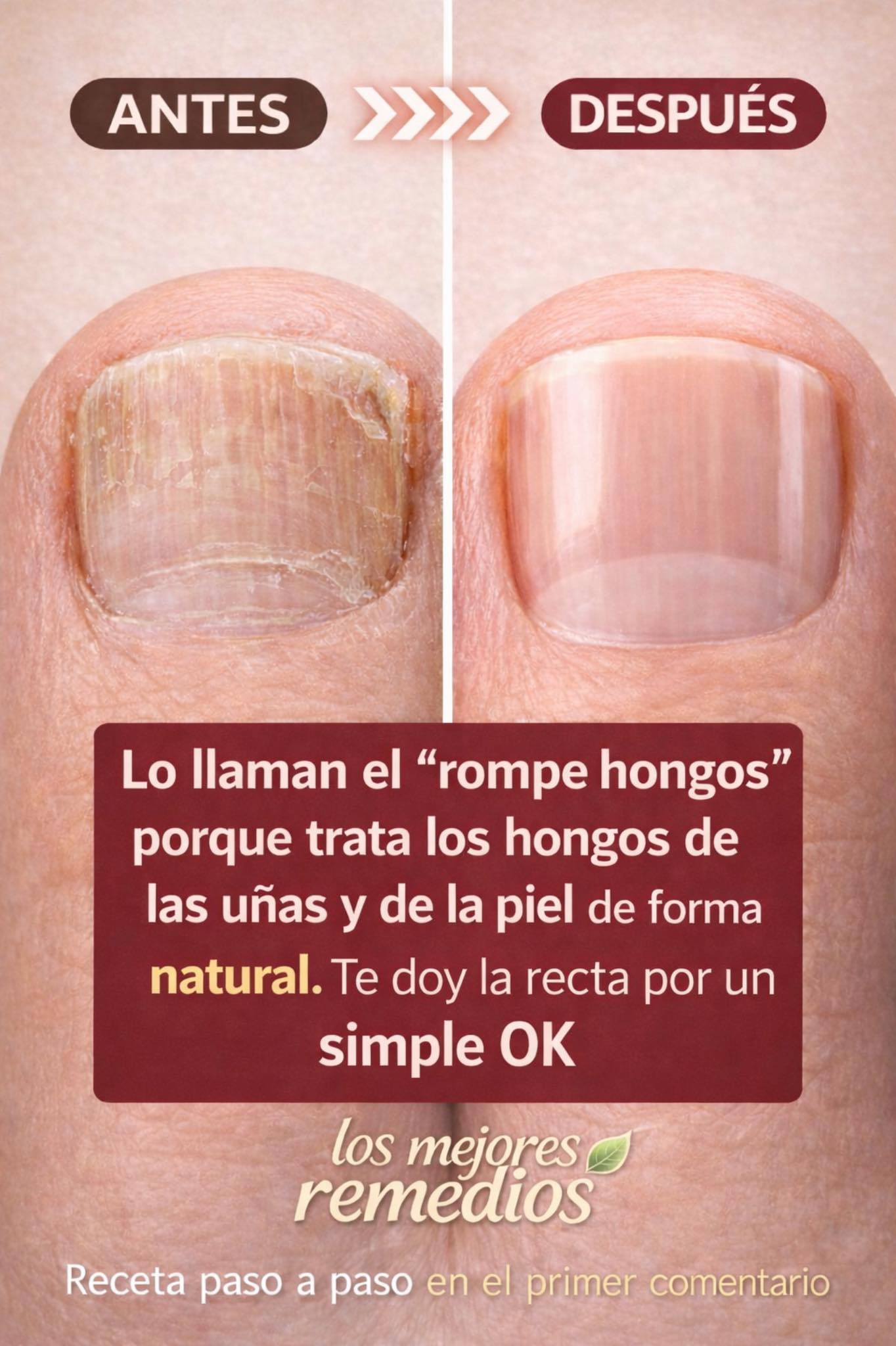 645214679 1489087422777962 6519163170332879971 n