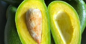 645701623 825302200578749 7254391753559253013 n