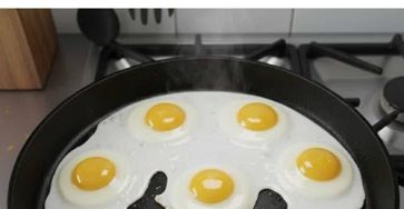 646275514 122104811223262913 5291057282399882045 n