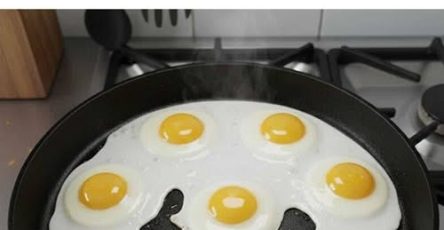 646275514 122104811223262913 5291057282399882045 n