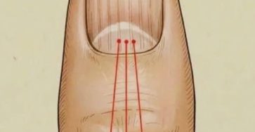 646826932 122102478639275841 1124022485647370920 n