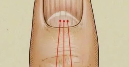 646826932 122102478639275841 1124022485647370920 n