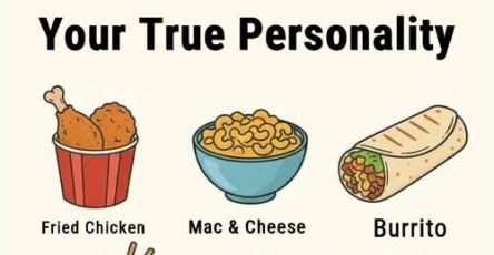 646916633 1428819602374015 2111086324660745609 n