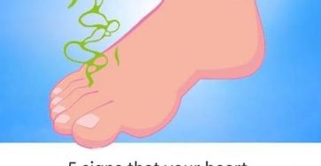 647028631 122245052258253247 2156042666394784913 n