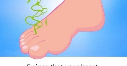 647028631 122245052258253247 2156042666394784913 n