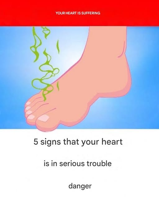 647028631 122245052258253247 2156042666394784913 n