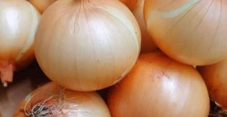 647134003 1355858696300328 9001006339602178097 n