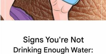 647591964 1289582026611233 7677379673221246183 n