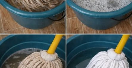 647964166 1624035242126593 4082100432718288607 n