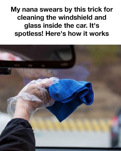 648291466 831997173244572 4709926286815777834 n