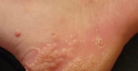 648403297 1855054021880888 4329826491507309628 n