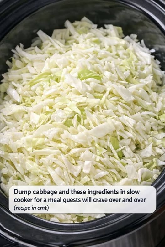 648757946 1355853639634167 8862873937508820671 n