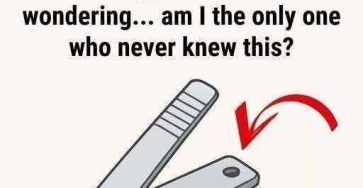 649134156 122178429236791252 7280394456919961558 n