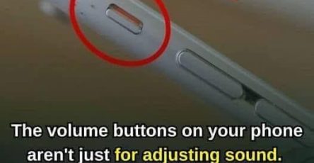 649182659 1482983943261085 5365586279799273477 n