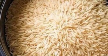 649531282 122204588294501456 6165003234792940425 n