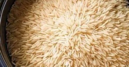 649531282 122204588294501456 6165003234792940425 n